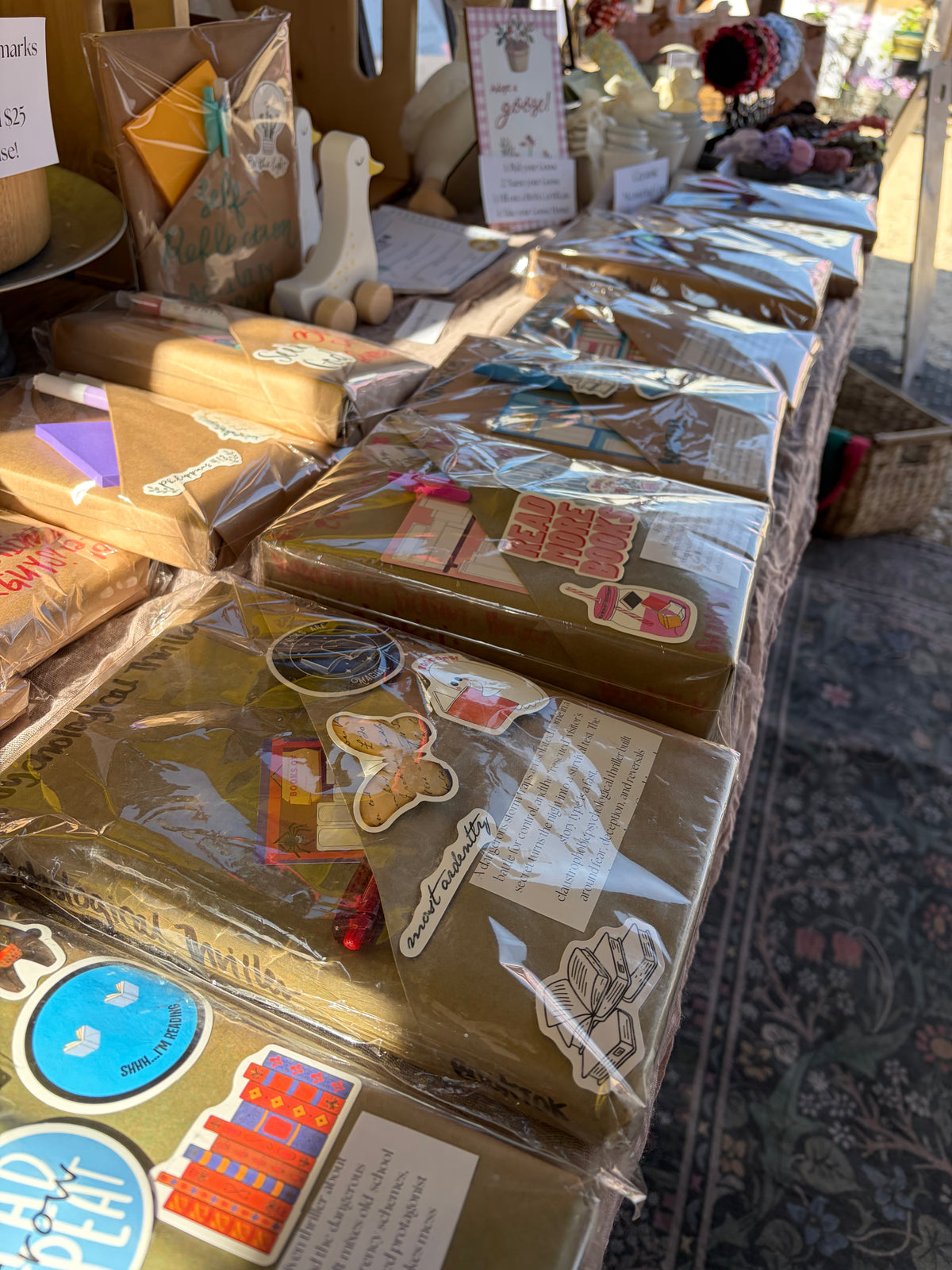 Blind Date with a Book (BOOKTOK)